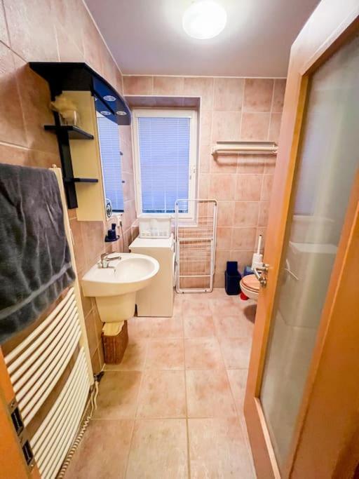 Prokop Apartment Zelezna Ruda Luaran gambar