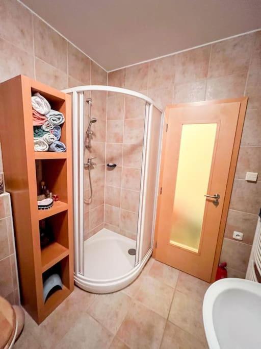 Prokop Apartment Zelezna Ruda Luaran gambar
